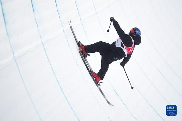 新西兰代表队在自由式滑雪比赛中勇夺头名