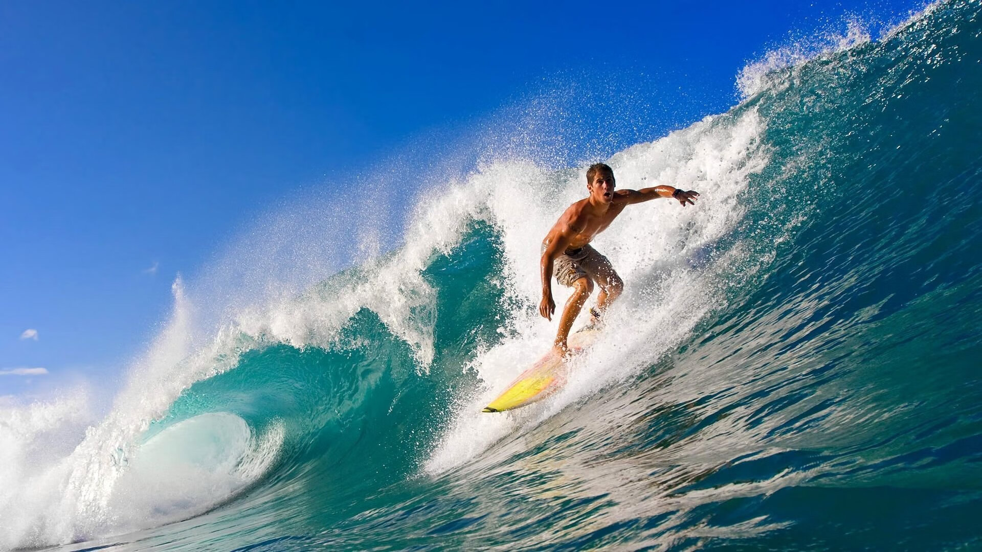 锡安时刻,新王当立,绿军巅峰对决开拓者启示录