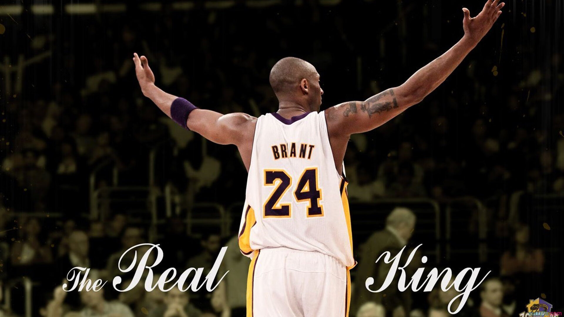 绝境铸就英雄！武切维奇压力下完成爆发，广厦队决胜局力克开拓者