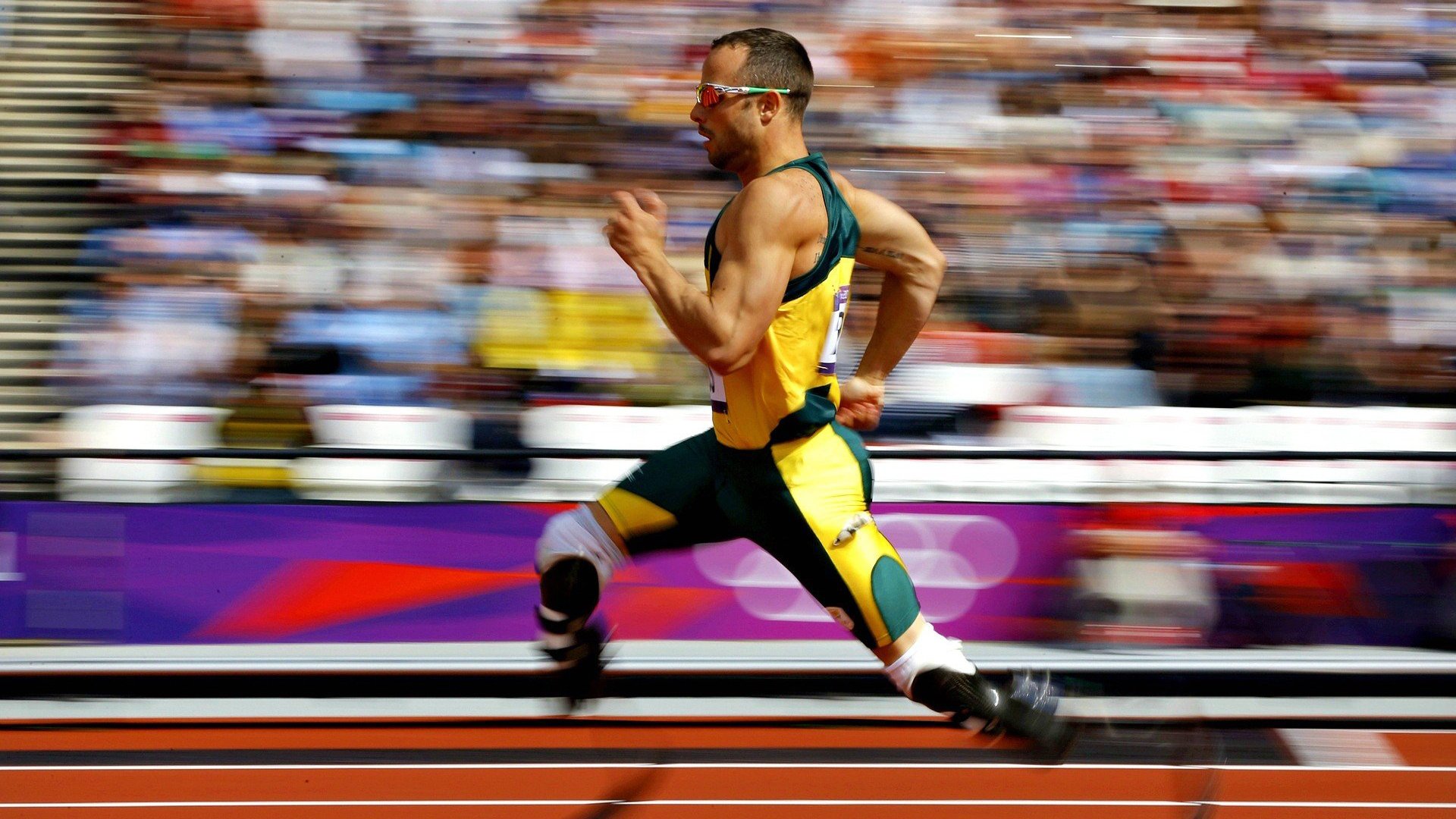 东瀛风暴席卷斯德哥尔摩,波尔惊艳四座,日本队碾压瑞典队书写乒乓新章